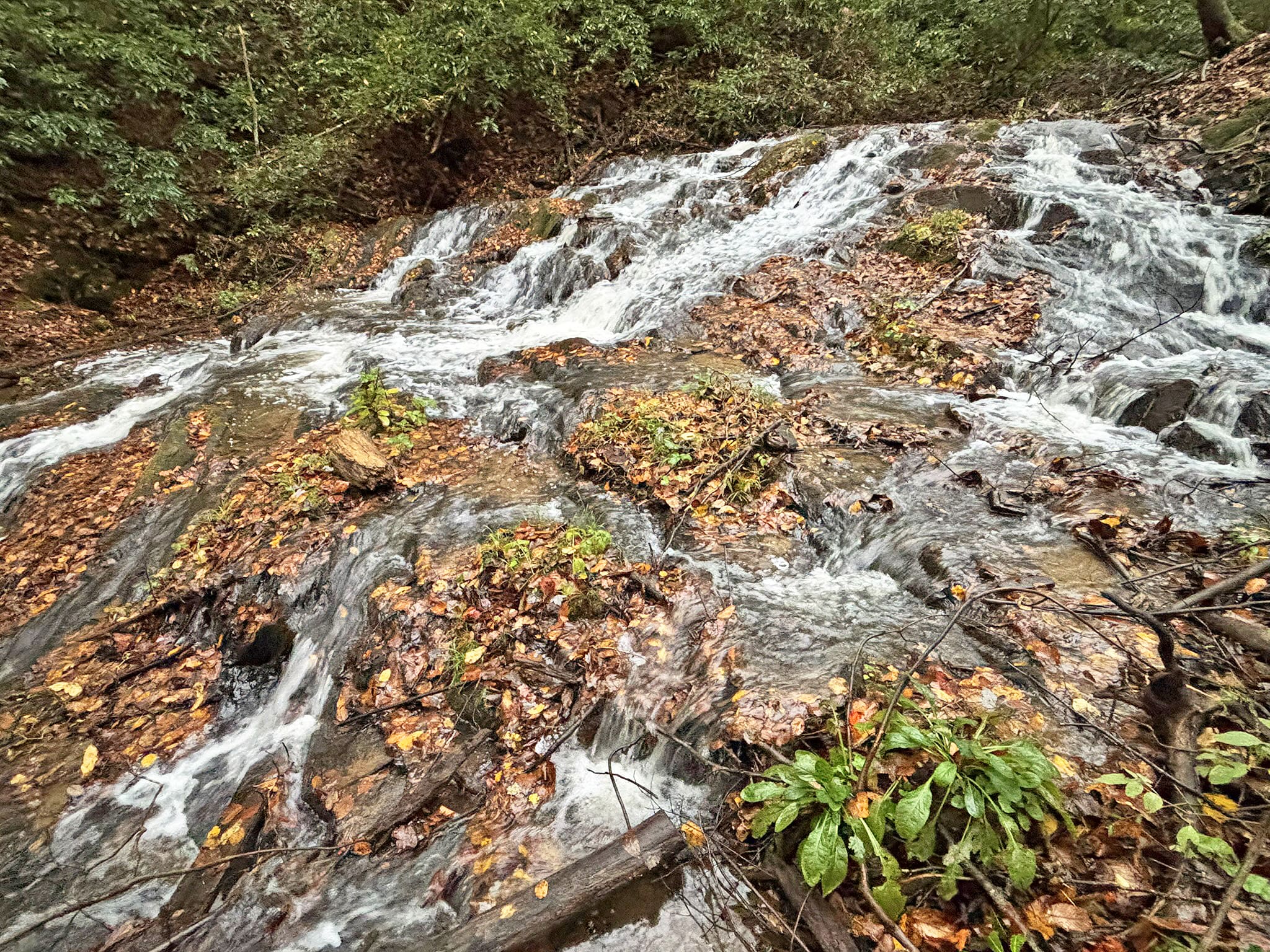 137 Faircloth Drive, Blue Ridge, GA - Land for Sale 3 00 Faircloth Waterfall 1