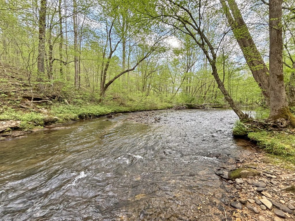 01 Spiva Cove 56