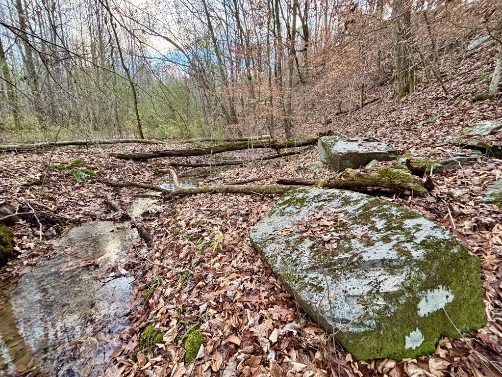 03 Lot 5 River Escape Trl 14