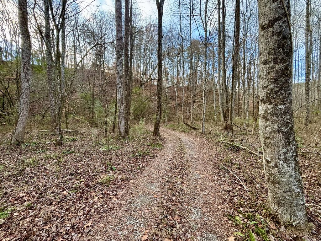 05 Lot 5 River Escape Trl 8