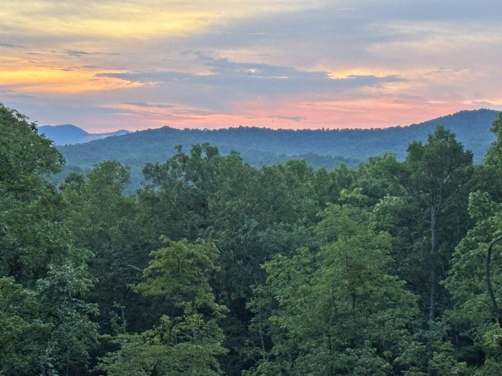 05 mntn view 17