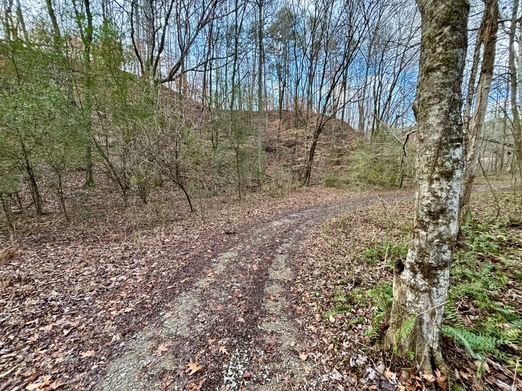 11 Lot 5 River Escape Trl 10