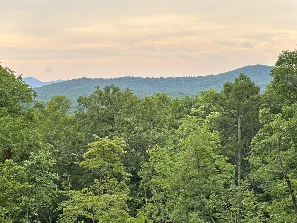 11 mntn view 3
