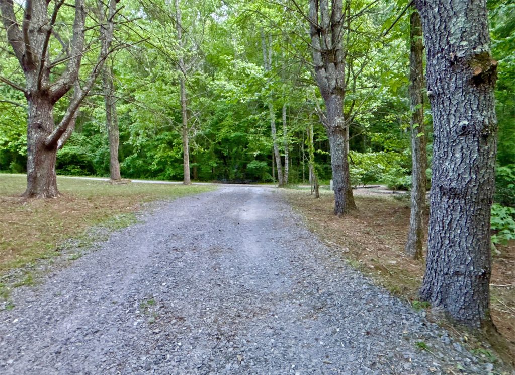 12 Spiva Cove 22