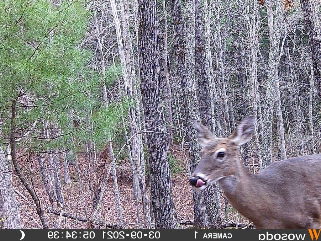 12 surrounding area 0