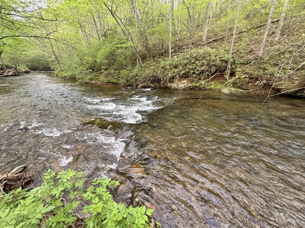13 Spiva Cove 3
