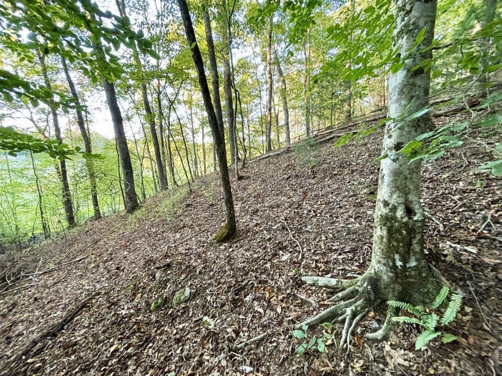 13A Rainey Valley 4