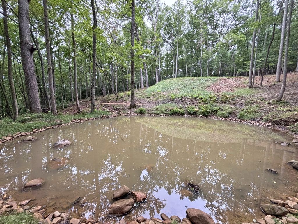 13A Rainey Valley 42