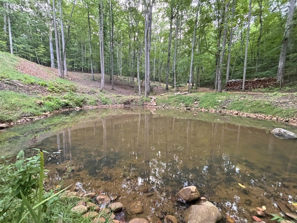 13A Rainey Valley 47