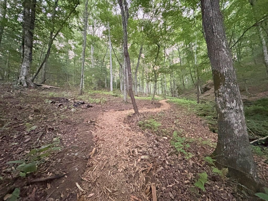 13A Rainey Valley 49