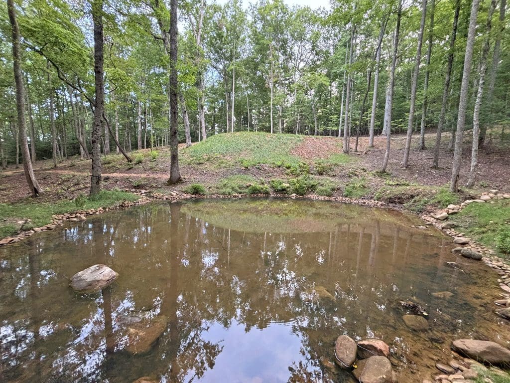 13A Rainey Valley 50a
