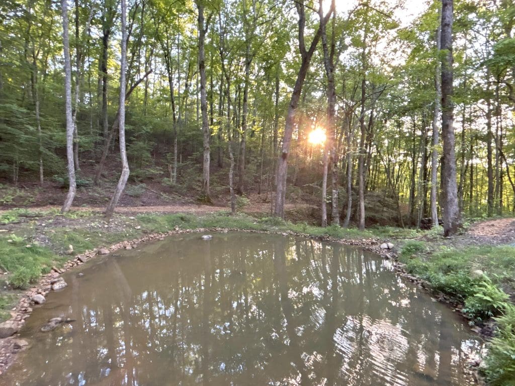 13A Rainey Valley 55