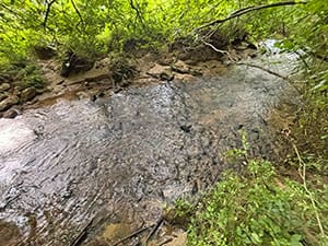 13A Rainey Valley video thb
