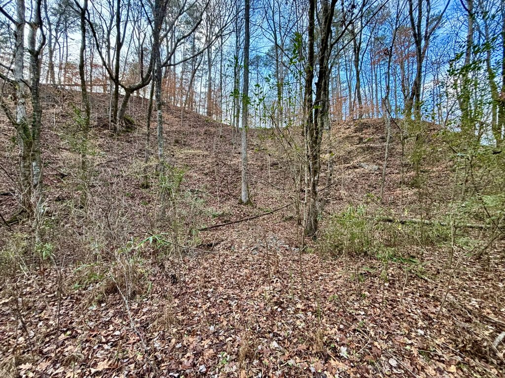 14 Lot 5 River Escape Trl 12