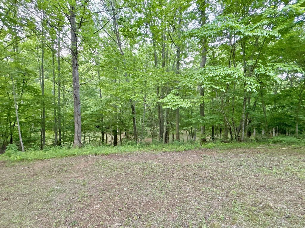15 Spiva Cove 21