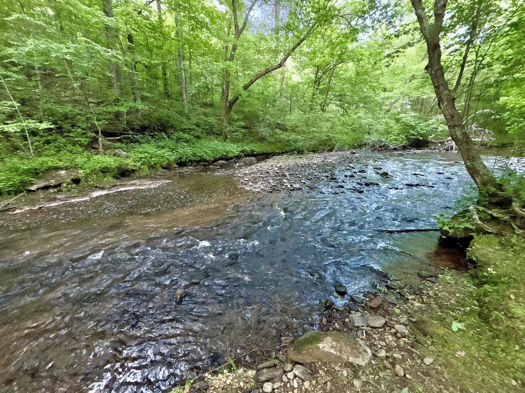 17 Spiva Cove 36