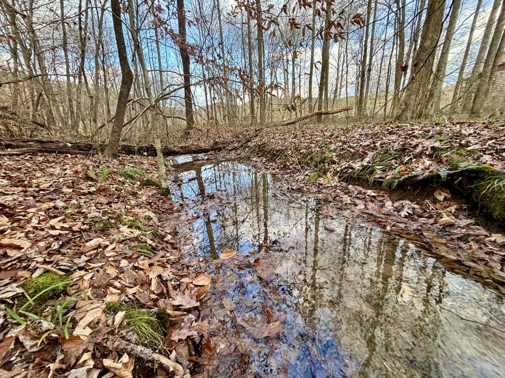 22 Lot 5 River Escape Trl 16