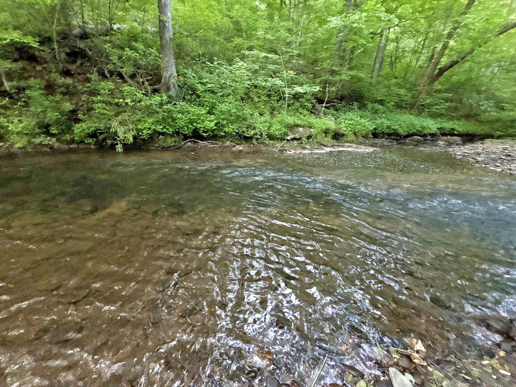 25 Spiva Cove 40