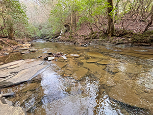 5AC LoveJoy Lane, Talking Rock, GA 41 26 LoveJoyLane video thb