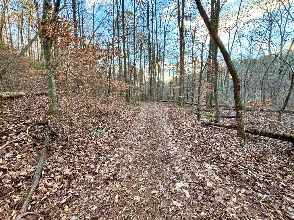 29 Lot 5 River Escape Trl 31