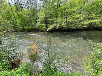 2AC Indian Lane video gallery thb