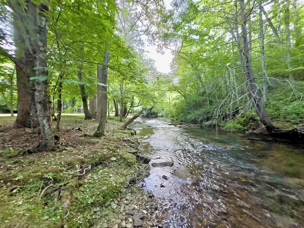 31 Spiva Cove 41