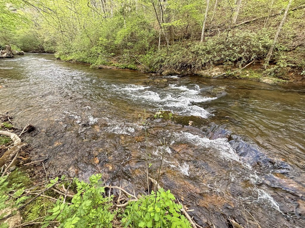 33 Spiva Cove 4