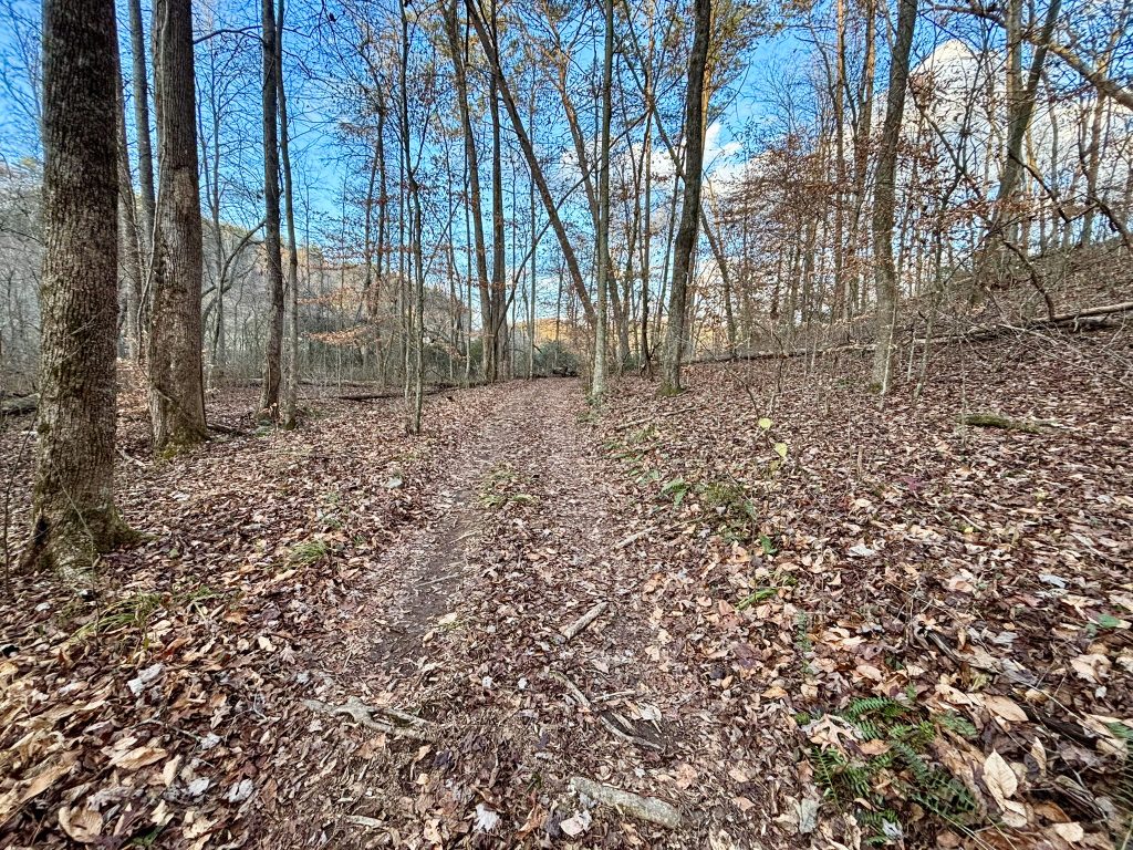 35 Lot 5 River Escape Trl 33