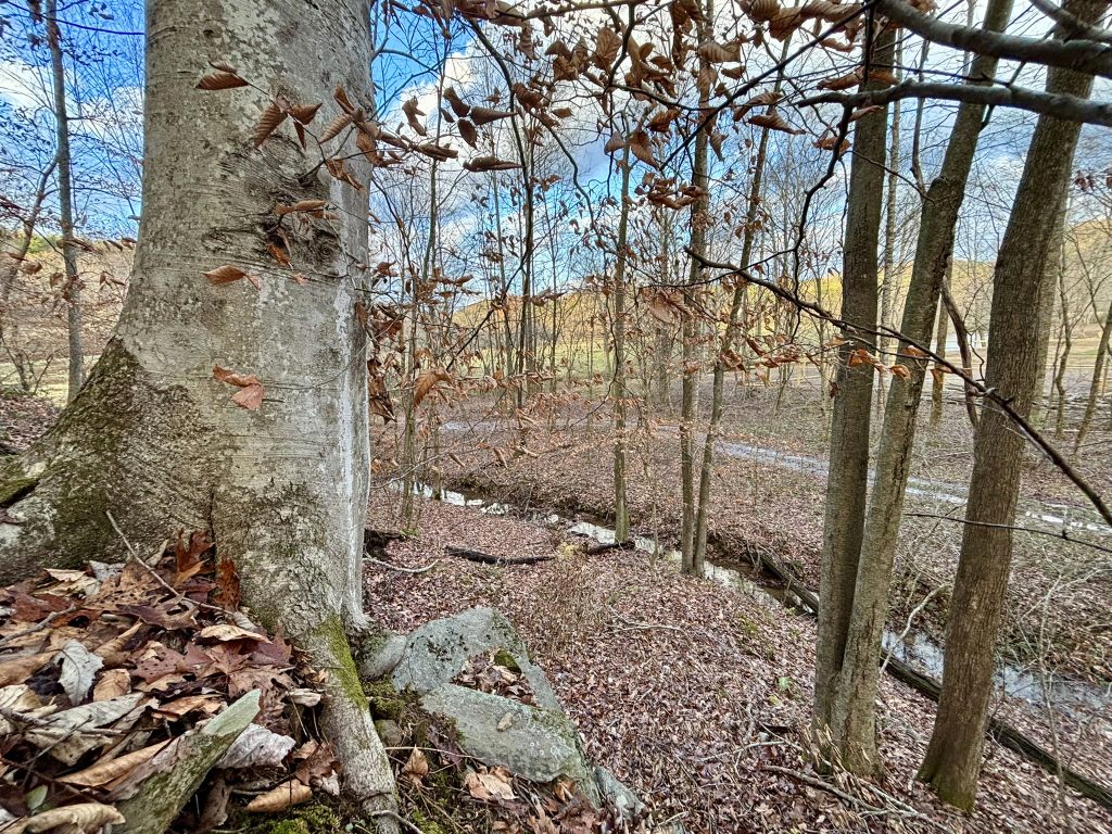 36 Lot 5 River Escape Trl 20