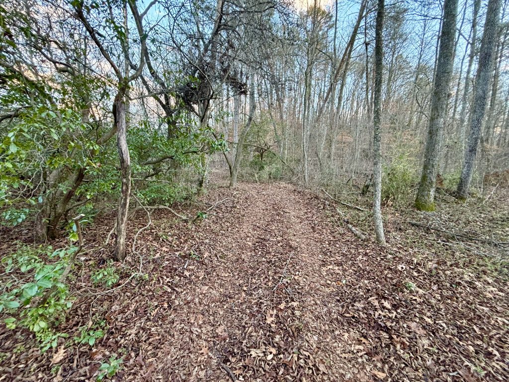 38 Lot 5 River Escape Trl 35