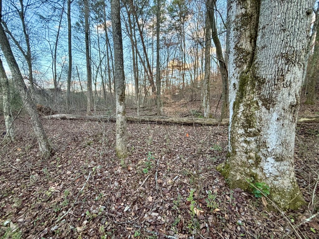 39 Lot 5 River Escape Trl 34