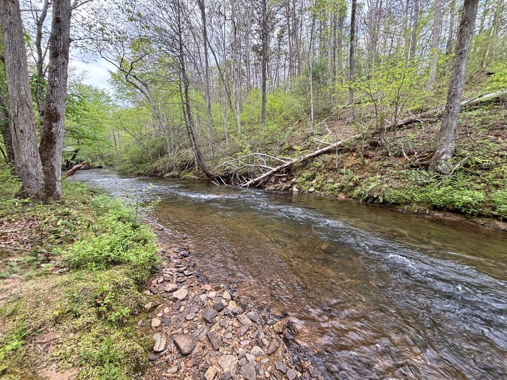 39 Spiva Cove 55