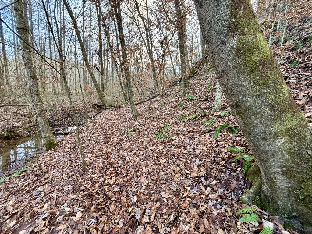 41 Lot 5 River Escape Trl 23