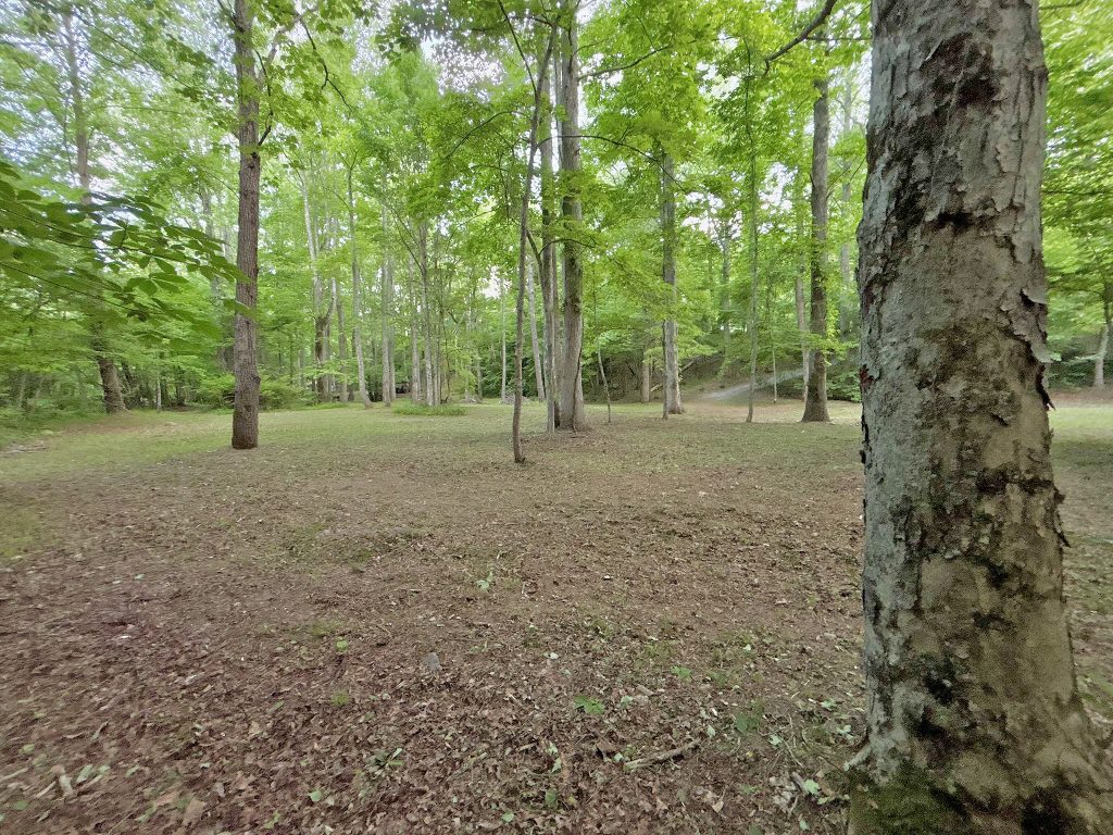 42 Spiva Cove 42