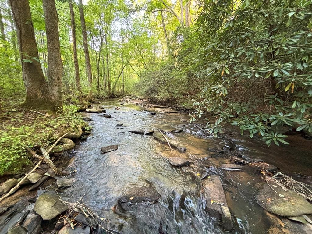 442 Mt. Springer Road Ellijay, GA 2 434564 0