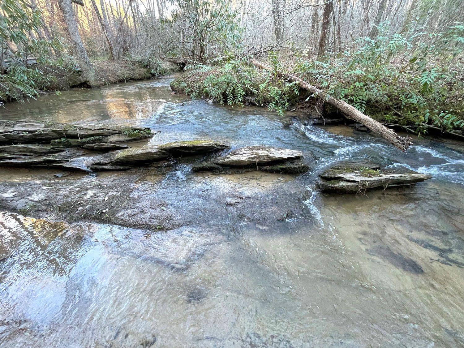 512 Bell Rd Mineral Bluff GA 15ac photo gallery thb 1