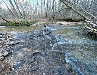 512 Bell Rd Mineral Bluff GA 15ac video thb