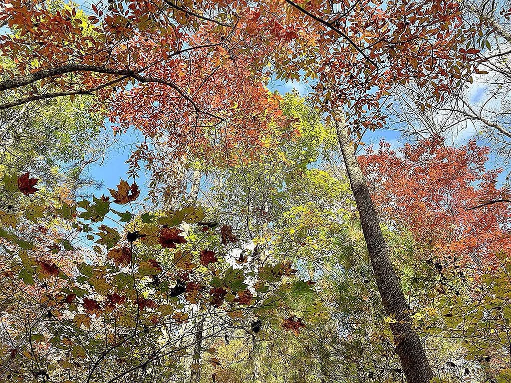 635a01a6234b5d5105b5de4268e6b5d9 uncropped scaled within 1536 1152