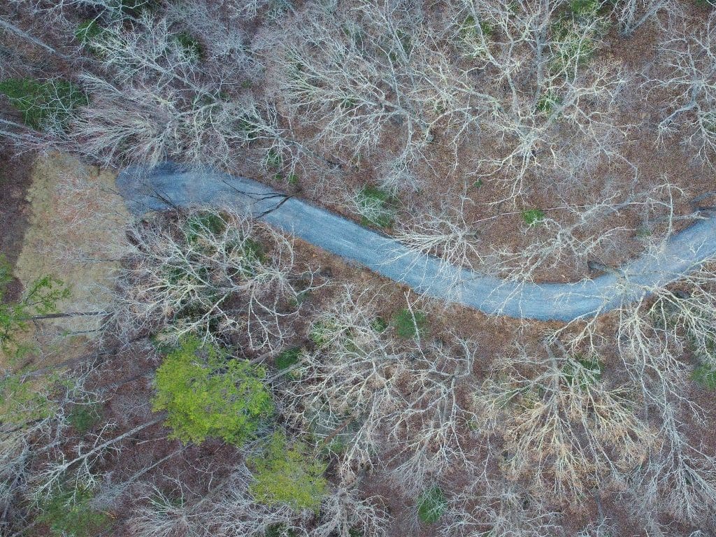 DJI 0379