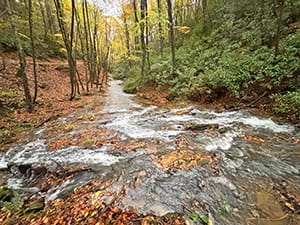 Faircloth Waterfall gallery thb