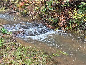 Faircloth Waterfall video thb