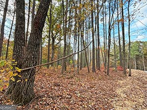 Land in Ellijay GA - Lot 2 MT Springer Road