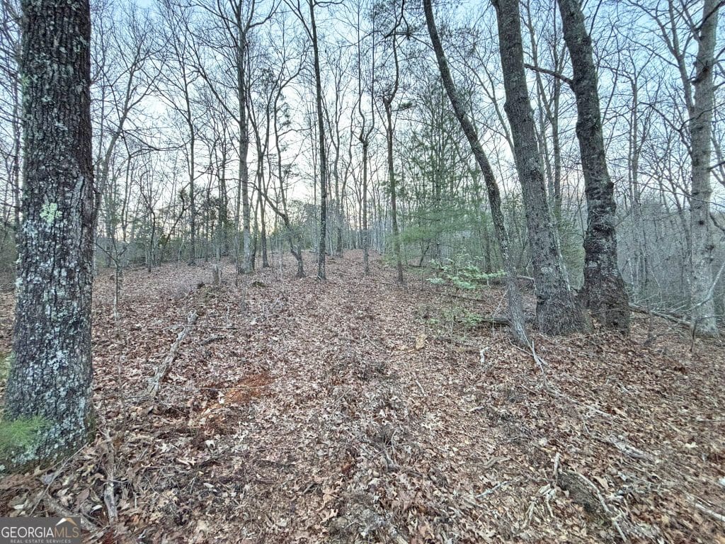HD 1742653566541 20