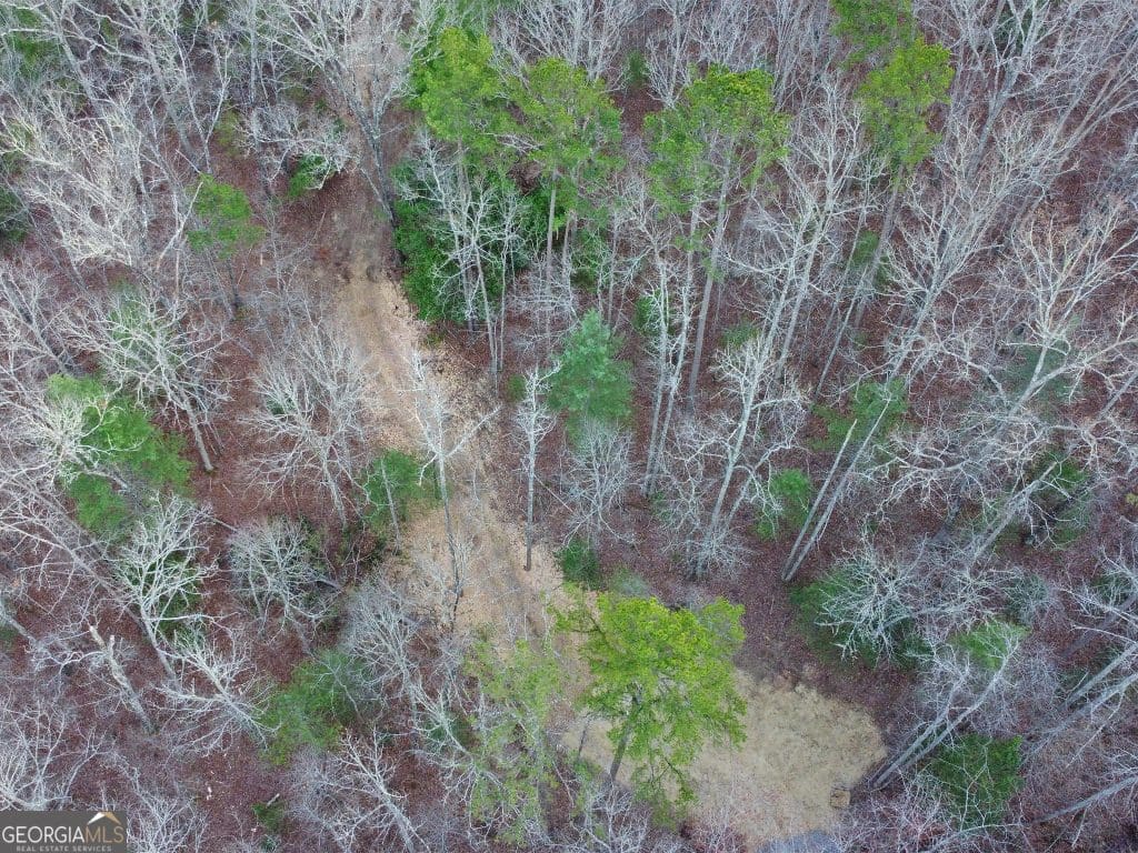 HD 1743620769049 DJI 0382