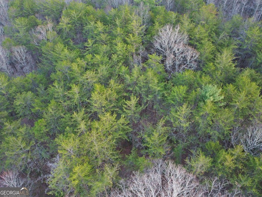 HD 1743620772025 DJI 0394
