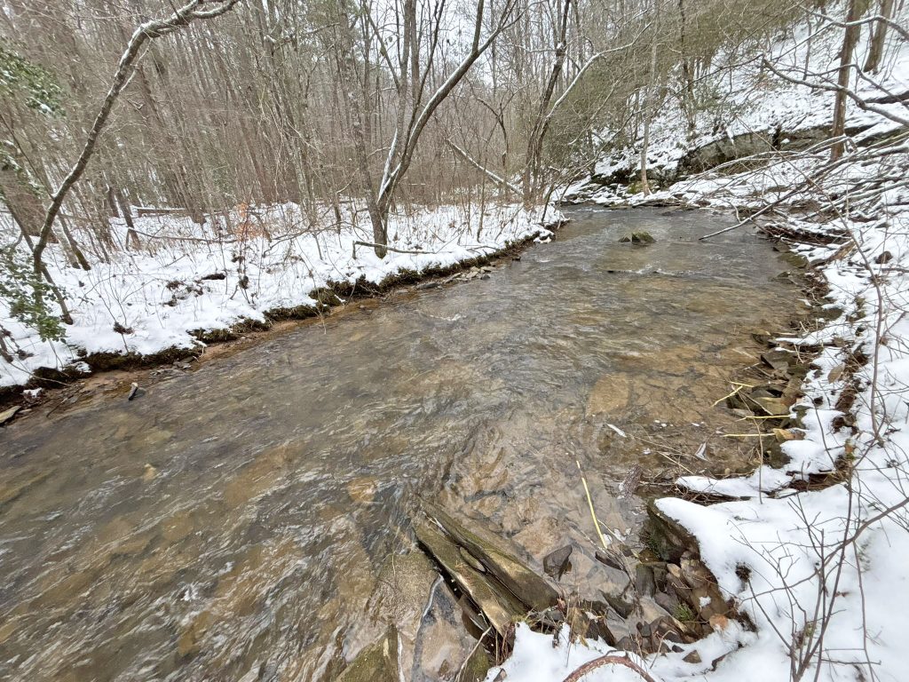 IMG 0507