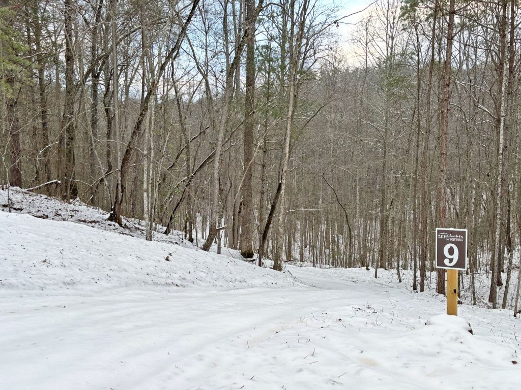 IMG 0619 1