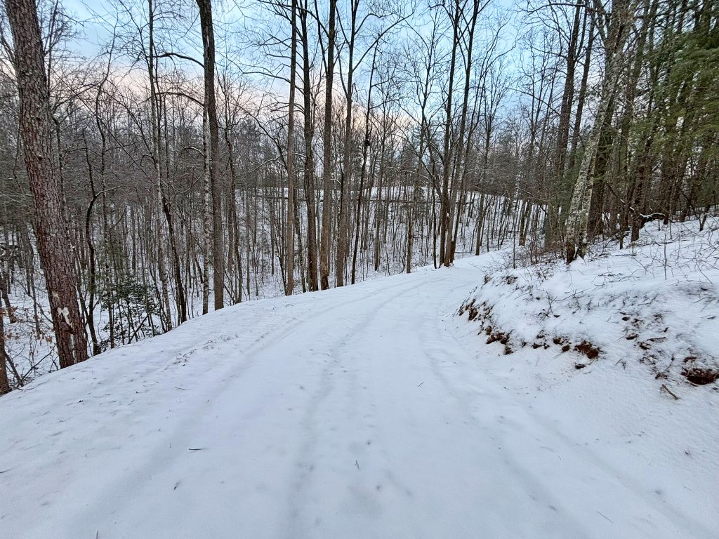 IMG 0636