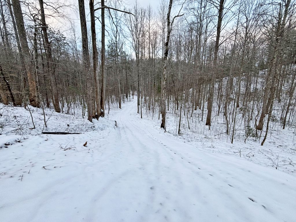 IMG 0640 1