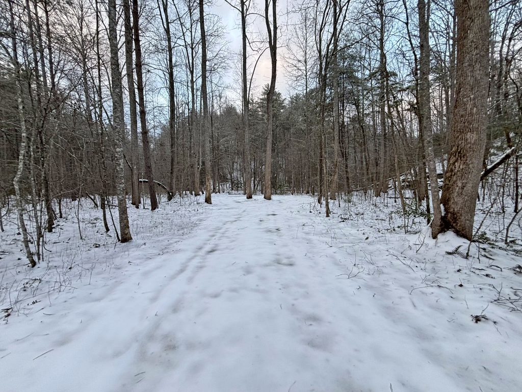 IMG 0648